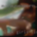 Black girls licking pussy 19320