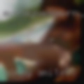 Horny Amite