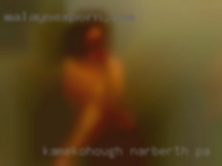 Kamekohough Narberth PA