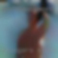 Swingers Santa Texas